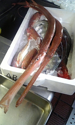 ���̓��I����