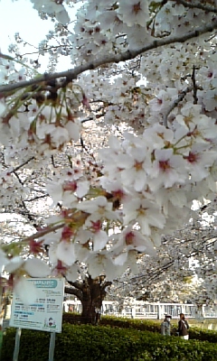 ���̓��I����