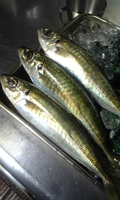 ���̓��I����