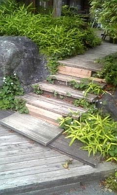 ���̓��I����