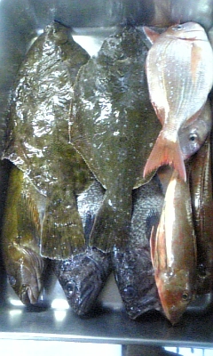 ���̓��I����