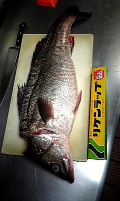 ���̓��I����