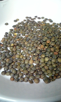 ���̓��I����