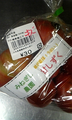 ���̓��I����