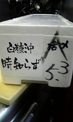 ���̓��I����