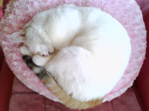 365�@��������