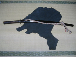 �������i���z�_�`���j�Ɠ��{���̝n��������