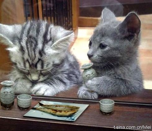 �̂��Փ��L�U