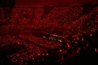 �̂��Փ��L�U