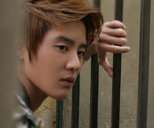 �̂��Փ��L�U