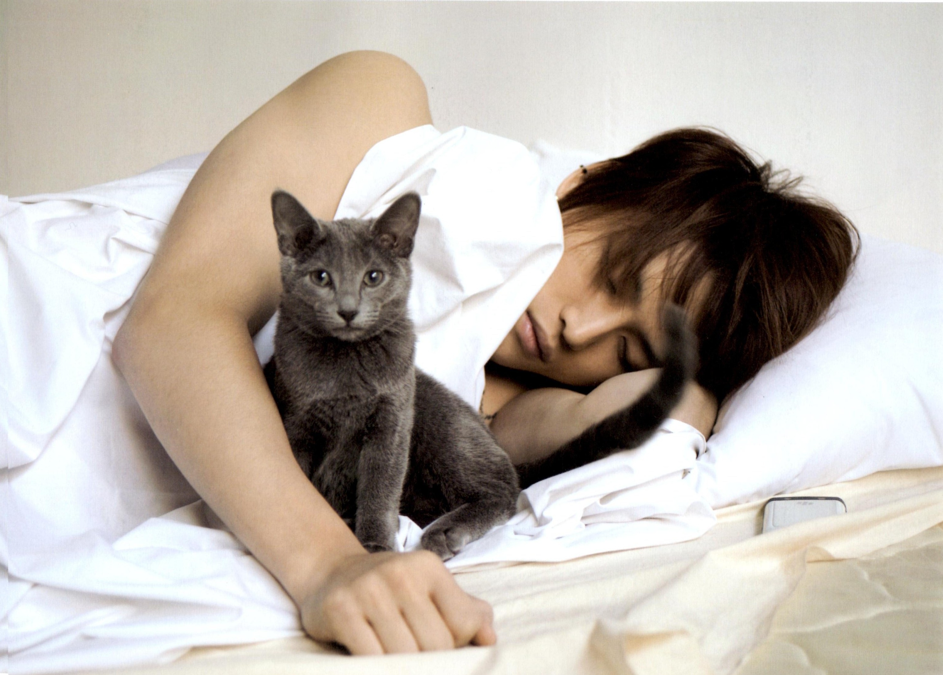 �̂��Փ��L�U