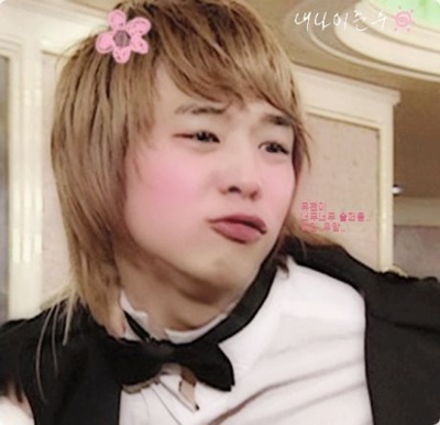 �̂��Փ��L�U