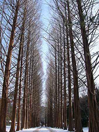 �̂��Փ��L�U