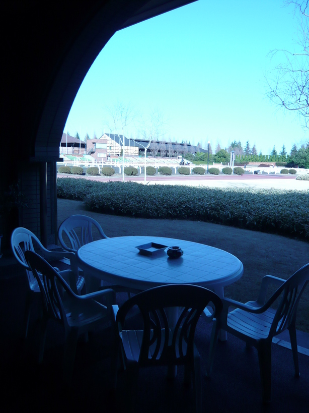 �̂��Փ��L�U