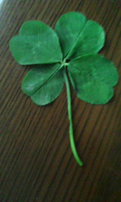 �̂��Փ��L�U