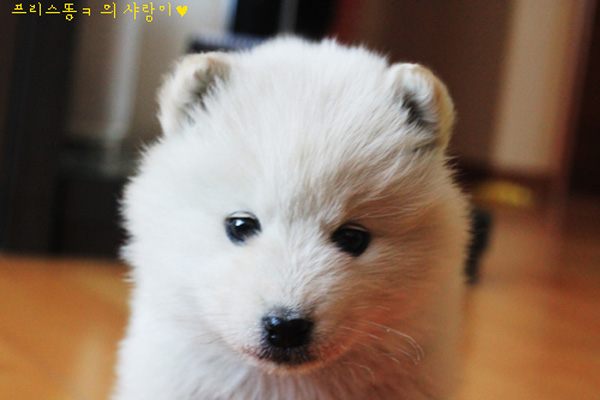 �̂��Փ��L�U