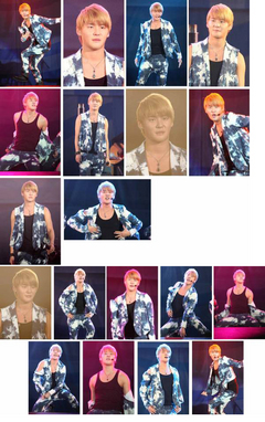 �̂��Փ��L�U