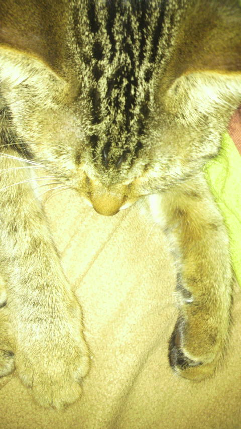 �̂��Փ��L�U