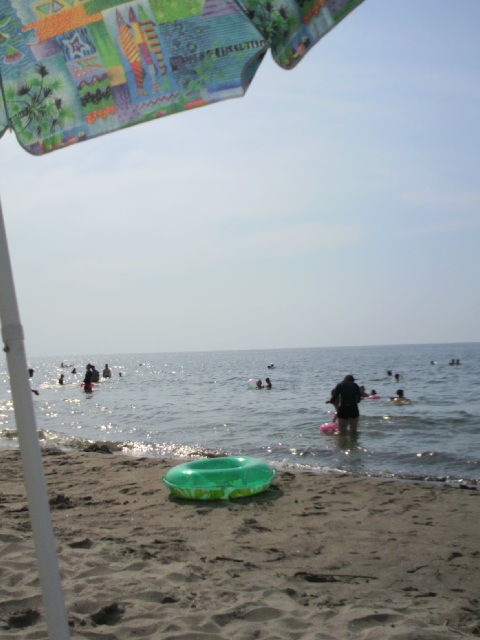 �̂��Փ��L�U