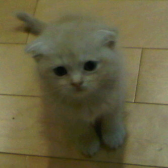 �̂��Փ��L�U