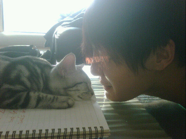 �̂��Փ��L�U