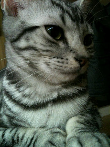 �̂��Փ��L�U