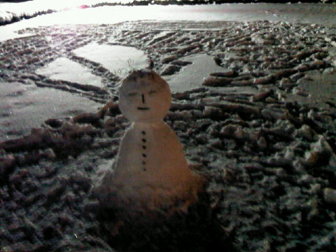 �̂��Փ��L�U