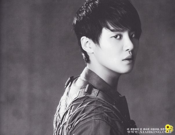 �̂��Փ��L�U