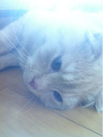 �̂��Փ��L�U