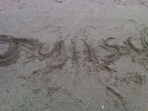 �̂��Փ��L�U