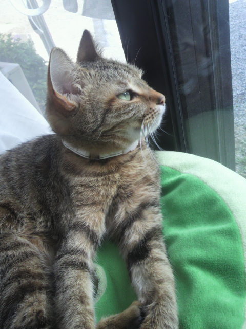 �̂��Փ��L�U