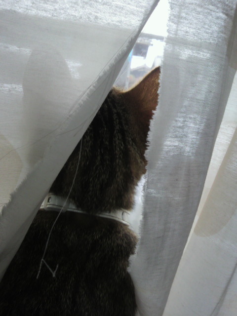 �̂��Փ��L�U