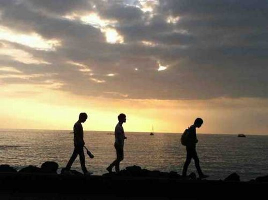 �̂��Փ��L�U