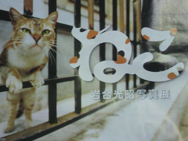 �̂��Փ��L�U