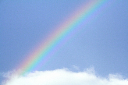 �̂��Փ��L�U