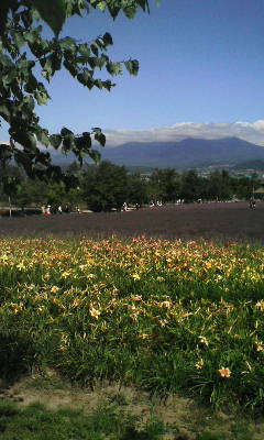 �̂��Փ��L�U