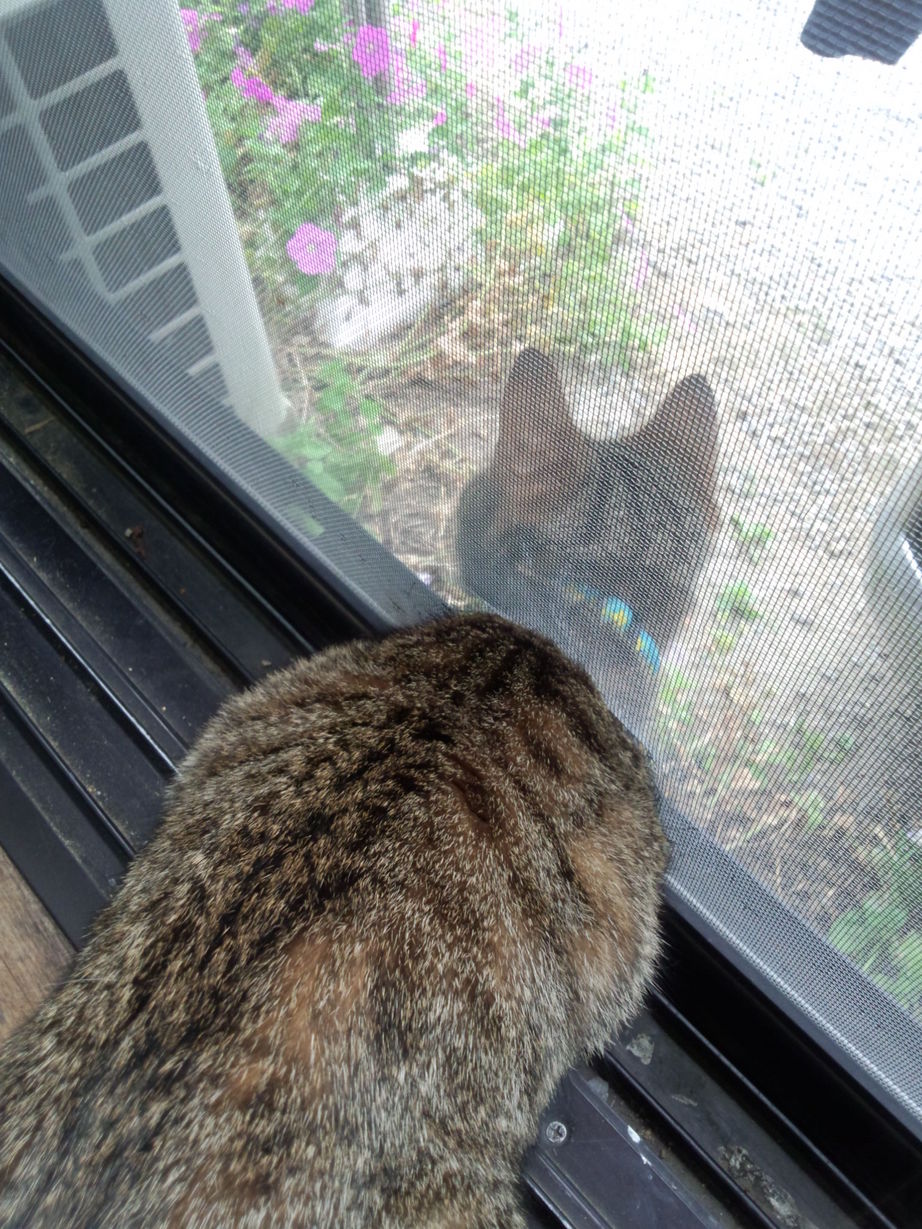 �̂��Փ��L�U