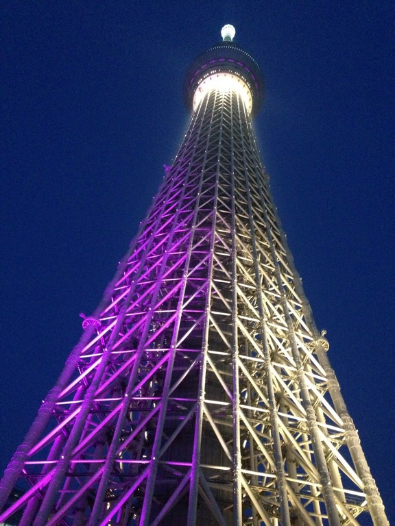 �̂��Փ��L�U