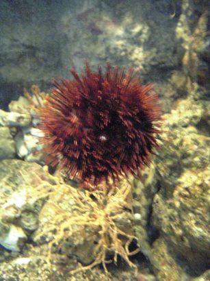 ������̎v������