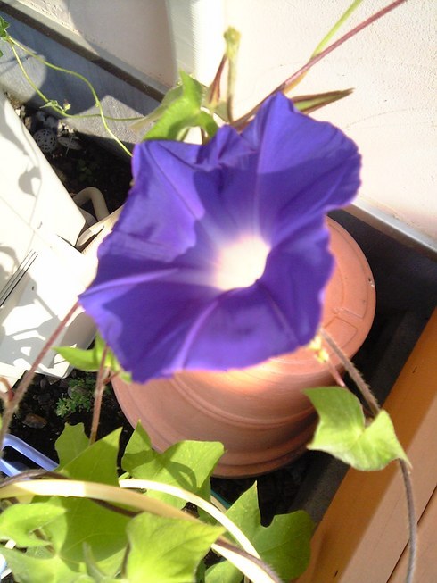 ������̎v������