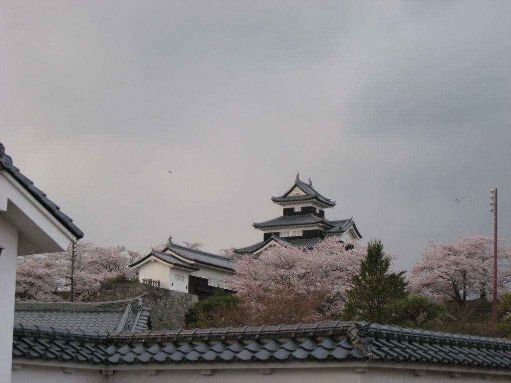 �\��Ɓ@�~���� ��������