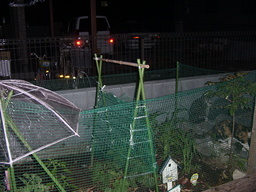 nyanko�̂ځ[���Ƃ�������