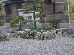 nyanko�̂ځ[���Ƃ�������