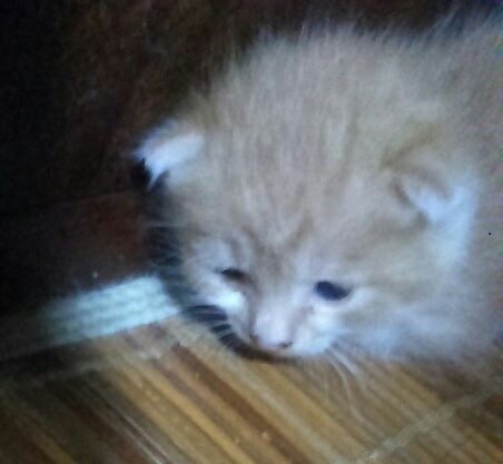 �N�����ƈ���������ق�Ƃ��ȁH�i�W���j