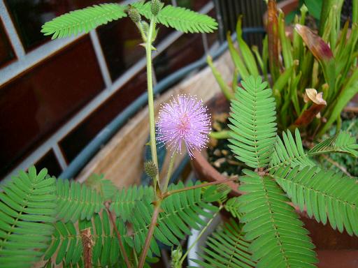 �䂤�����搶�̓���