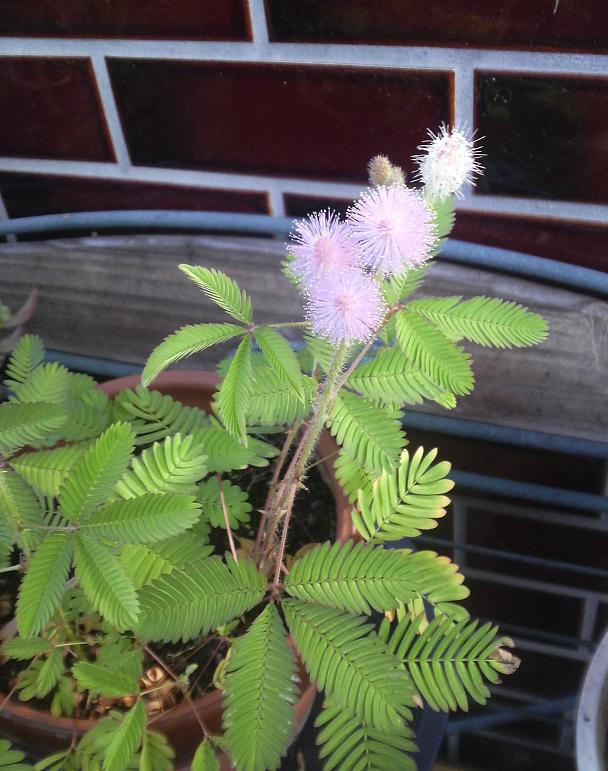 �䂤�����搶�̓���