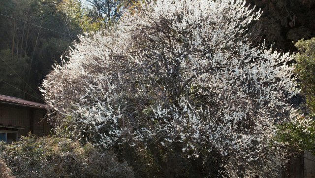 ���ԁ��y�큕�I�[�f�B�I���L