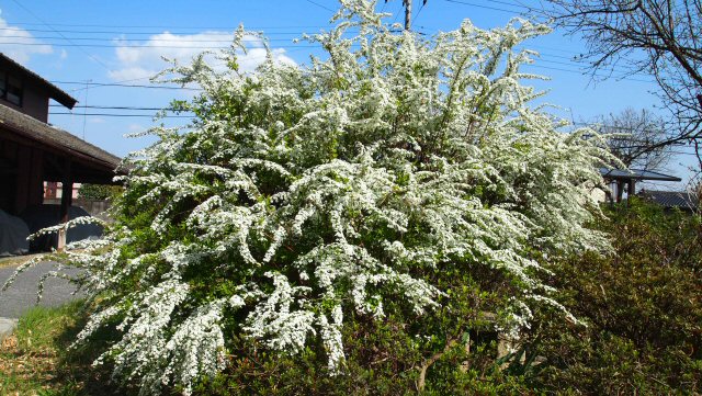 ���ԁ��y�큕�I�[�f�B�I���L