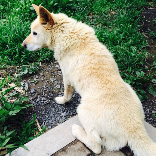 ���ԁ��y�큕�I�[�f�B�I���L