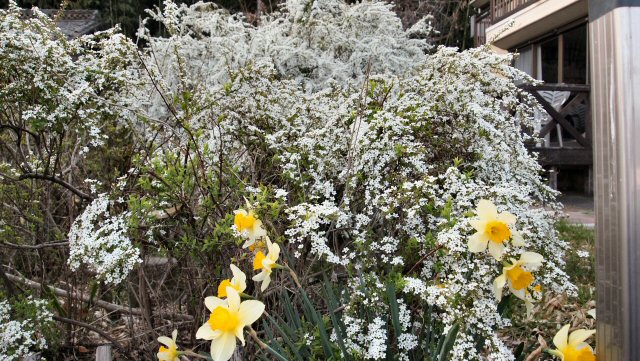 ���ԁ��y�큕�I�[�f�B�I���L